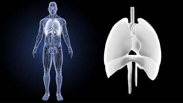 睡前90度倒竖腿的优点